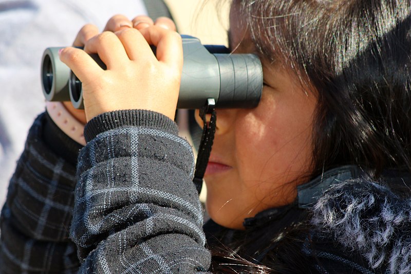File:A young girl uses binoculars for the first time to watch the seagulls at Monterey State Beach. (32986504481).jpg