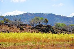 Valle San Nicolás i östra Achuapa