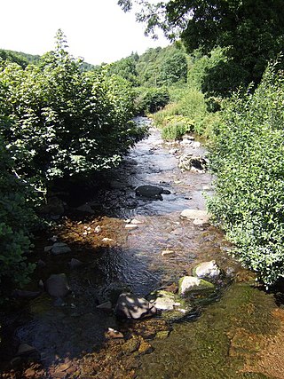 <span class="mw-page-title-main">Afon Gwydderig</span> River in Powys and Carmarthenshire, Wales