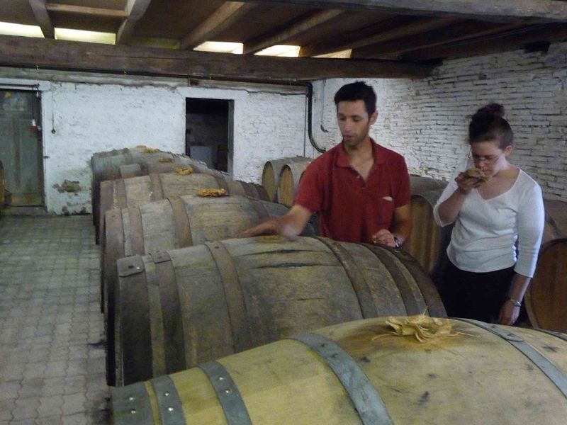 File:Aging vin de voile in barrels.jpg