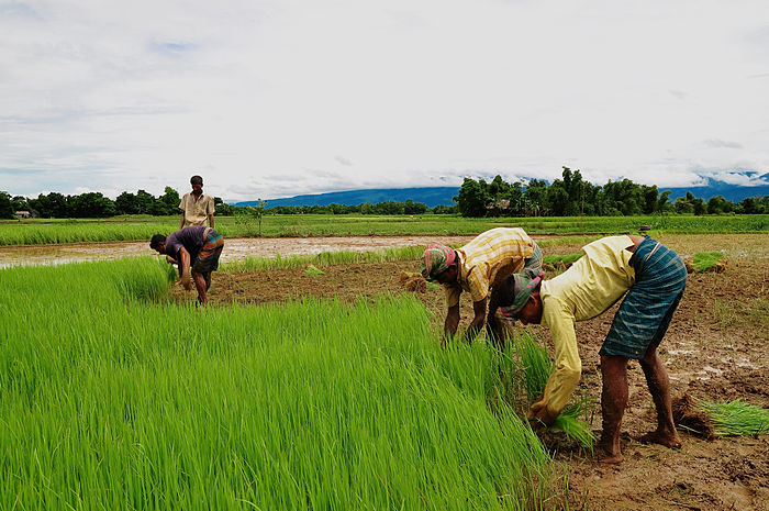 A photo of Bangladesh