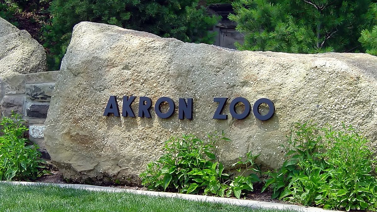Image result for akron zoo
