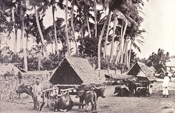 Bicolano men with their wagons, from Albay, c. 1899.