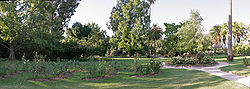 Albury botanical gardens panorama.jpg