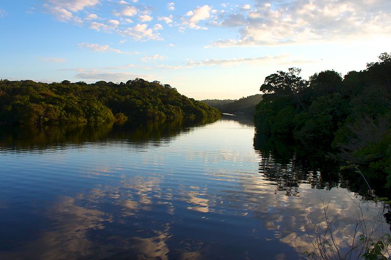 File:Amanhecer no Amazonas.jpg