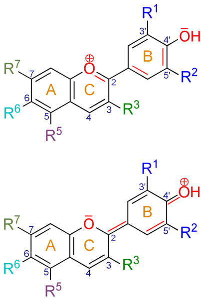 File:Anthocyanidin num.png