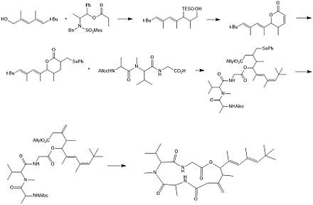 Chemical Synthesis of Antillatoxin Antillatoxin Synthesis.jpg