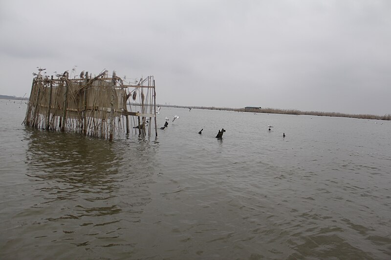 File:Anzali lagoon by Mardetanha 5981.JPG