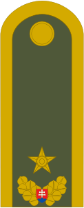 File:Army-SVK-OF-06.svg