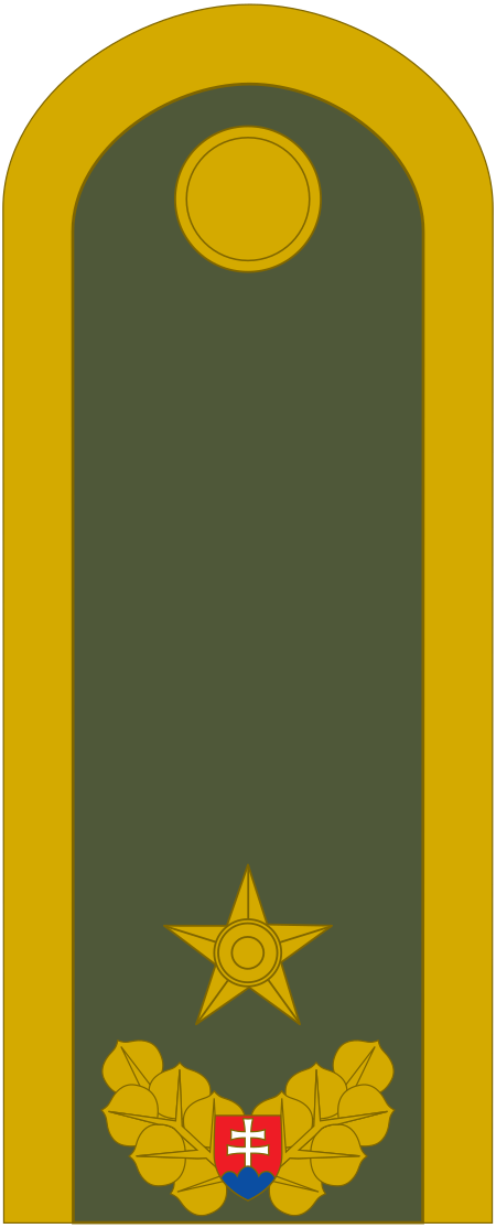 ไฟล์:Army-SVK-OF-06.svg