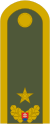 Army-SVK-OF-06.svg