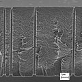 Asymmetric ion track channels.jpg