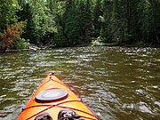 AuSable River - panoramio.jpg.