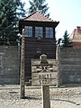 Auschwitz Draht.JPG