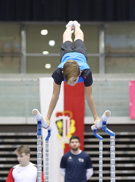 File:Austrian Future Cup 2018-11-23 Training Afternoon Parallel bars (Martin Rulsch) 0340.jpg