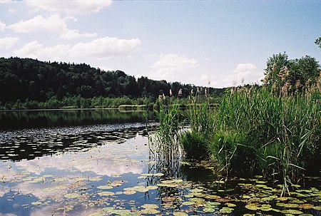 Bärnsee Blick nach NOrden