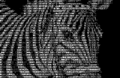 במקור: תמונת זברה באמנות ASCII; בהקשר של יוטיוב: כך הייתה מוצגת הזברה, אם משתמש מסוים בחר ברזולוציית: "TEXTp" (במקום תמונה גרפית אמיתית של זברה, ברזולוציית 360p, למשל).