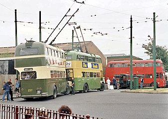 Trolleybuses with trolley-type current collectors, i.e. trolley poles on trolley wires