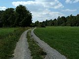 Weg zum Steinacher Ried