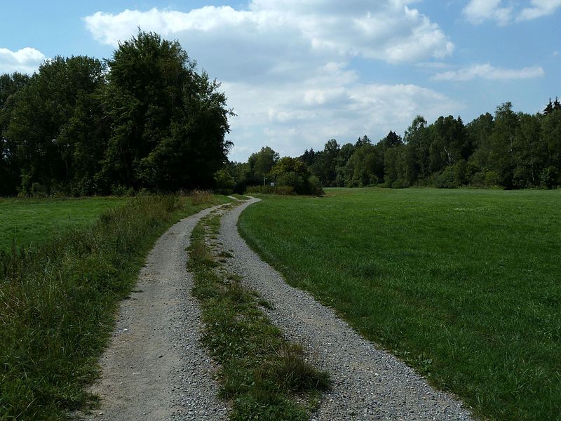 File:BWSteinacherRied1.jpg