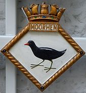 Moorhen