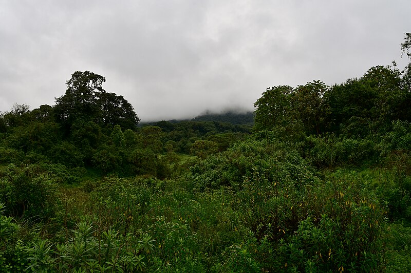 File:Bale Mountain Lodge and surroundings (13) (29281661115).jpg