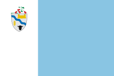 Bandera de Río Bueno.svg