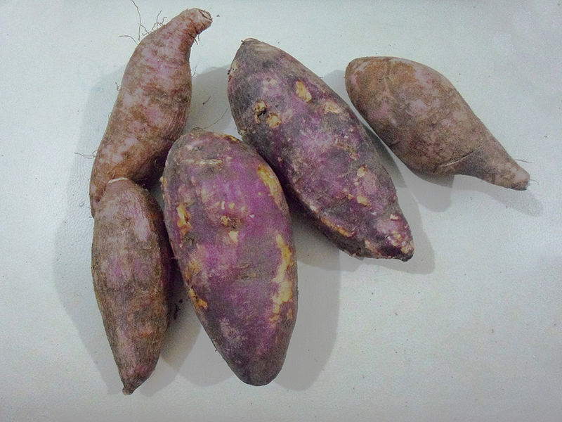 File:Batata doce-ipomoea batatas.JPG