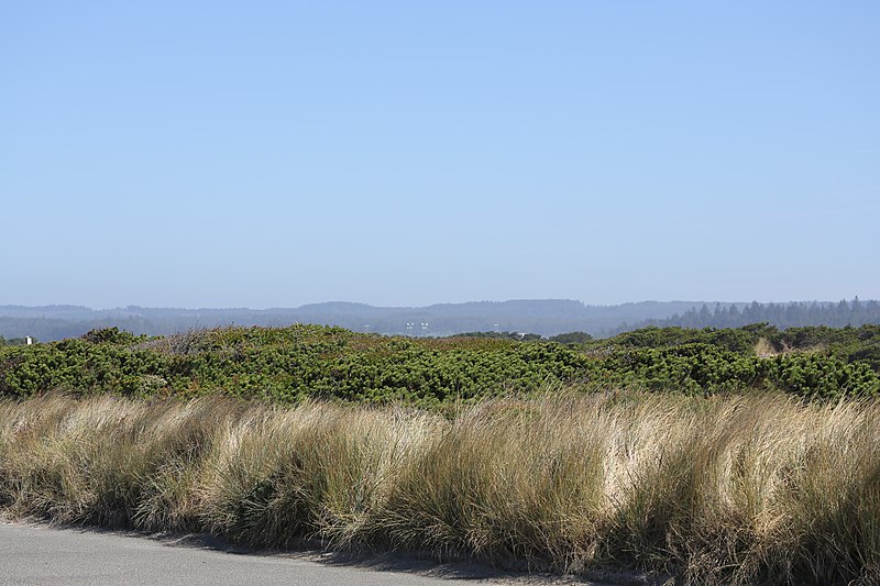 File:Beach in Bandon, OR (TK4).JPG