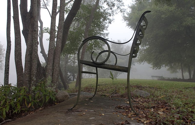 File:Bench by pond - panoramio.jpg