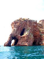 Berlengas elefente.JPG