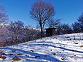 wikimedia_commons=File:Bird snare aside of path to Monte San Defendente.jpg