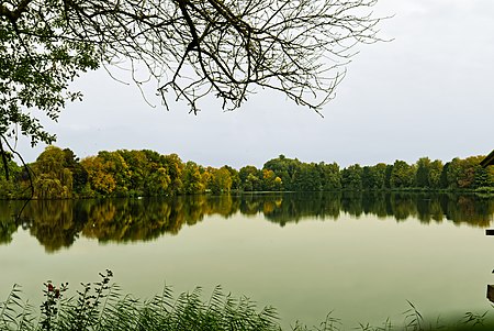 Birkensee Hanau