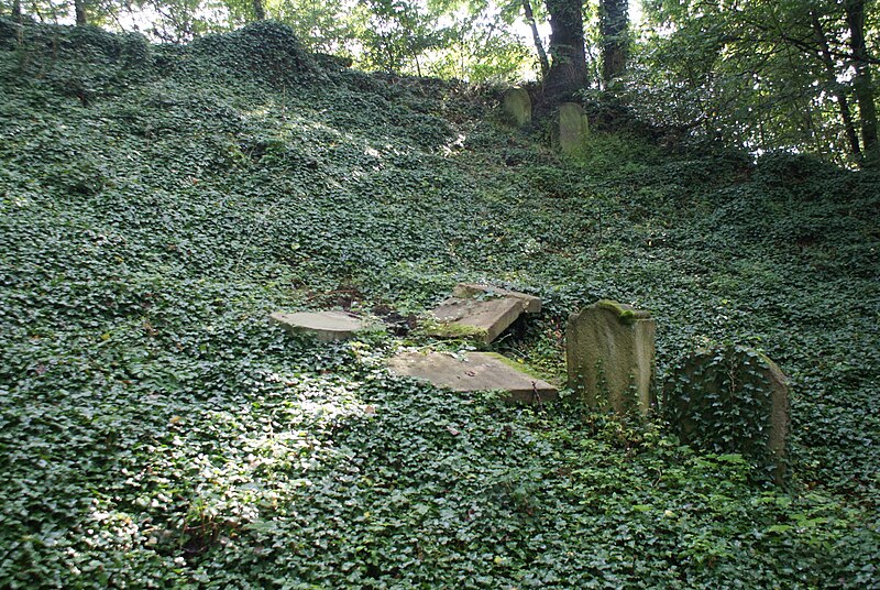 File:Blovice Jewish cemetery 03.JPG