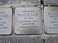 Stolperstein für Brigitte Fantl in Dresden