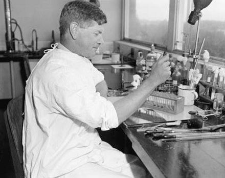 Burnet working in the laboratory in 1945