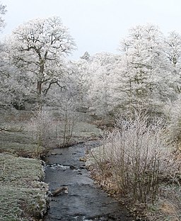 Burton Beck - geograph.org.uk - 697996