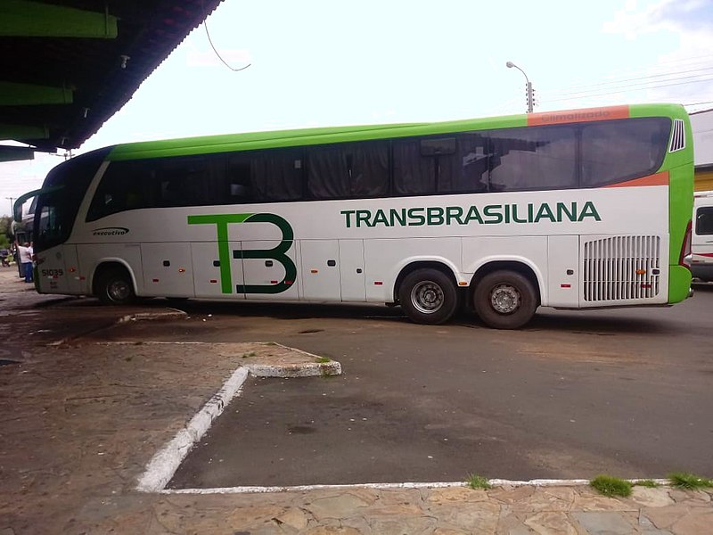 File:Busão da Transbrasiliana.jpg