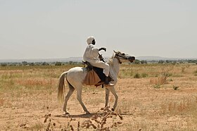 Cavaliere su un cavallo grigio a piedi