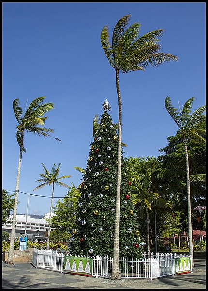 File:Cairns Christmas Tree-1 (15840832469).jpg