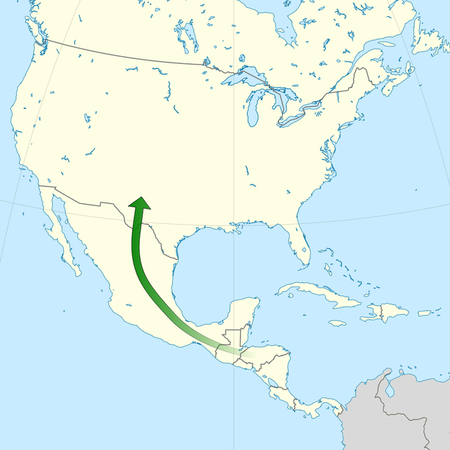 File CaminoMigranteHonduras2018 ohs01.png Wikimedia Commons