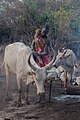 Campamento de ganado de la tribu Mundari, Terekeka, Sudán del Sur, 2024-01-28, DD 45