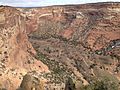 Vignette pour Massacre du canyon del Muerto