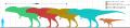 Carcharodontosauridae size comparison.svg