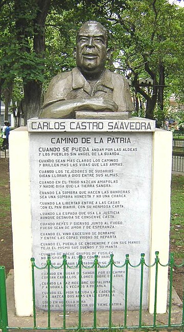 Carlos Castro Saavedra