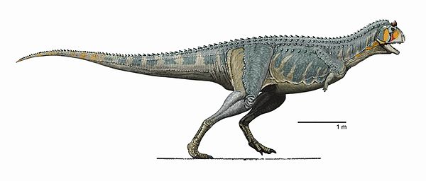 Illustration of Carnotaurus