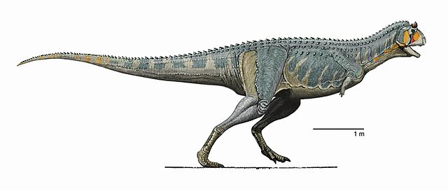 Illustration of Carnotaurus