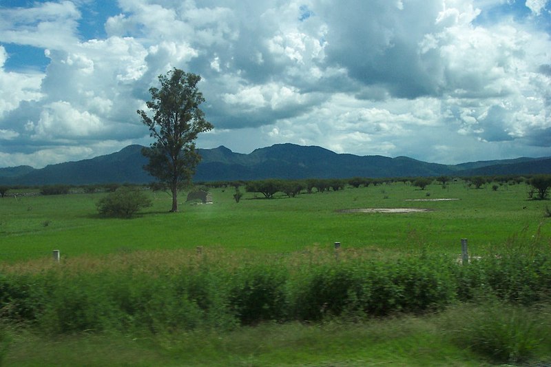 File:Carretera Nogales Guadalajara - panoramio.jpg