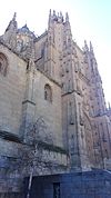 Catedral Nueva de Salamanca50.jpg