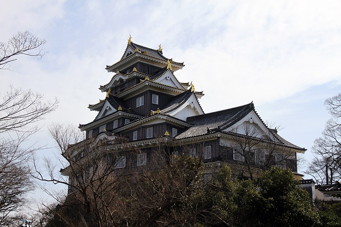 Castillo Okayama